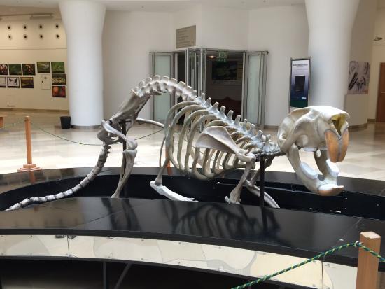 Hongaars Natuurhistorisch Museum